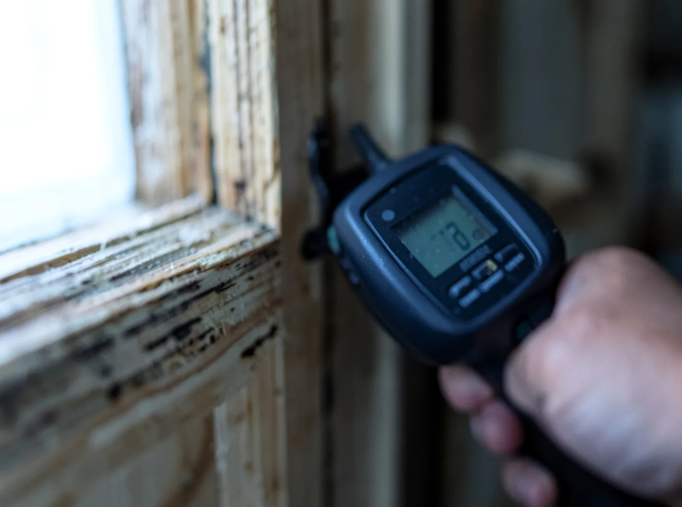 Contents Pack Out And Restoration in Grambling, LA